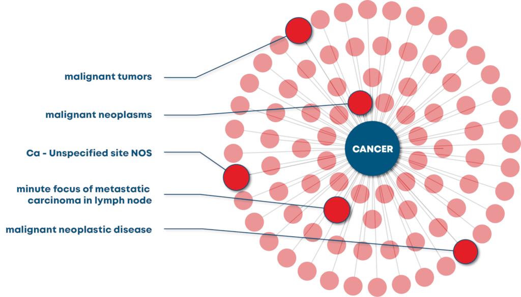 Read this interview with our lead data scientist and our chief oncologist about how we are helping researchers find oncology concepts in their EMR data. bit.ly/2X3QY7r