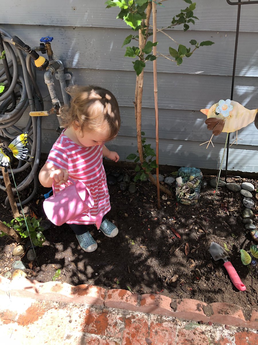 monarchmommy's tweet photo. Twins were constantly messing up Maddie’s garden & my plants. Nothing kept them out.
Never thought to give THEM a garden.
They’re thrilled with their “bit of earth” So happy. I overthink things. Sorry kids.
#bitofearth #toddlergarden #kidsoutside https://t.co/hzaAowzRdB