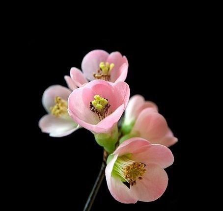 ^Homa^ (@bidadhax57) on Twitter photo 