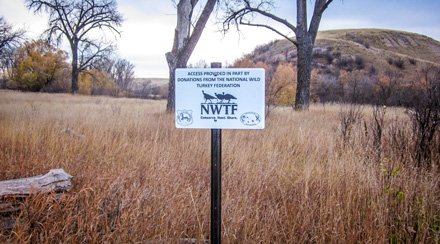 NWTF_official's tweet photo. Have you ever hunted in Wyoming? Learn more about NWTF-Wyoming's role in the Access YES program here: https://t.co/QMsfG06GRf
#access #huntingaccess #conservation #turkeyhunting #savethehabitat #savethehunt https://t.co/w7Ywv4BUZh
