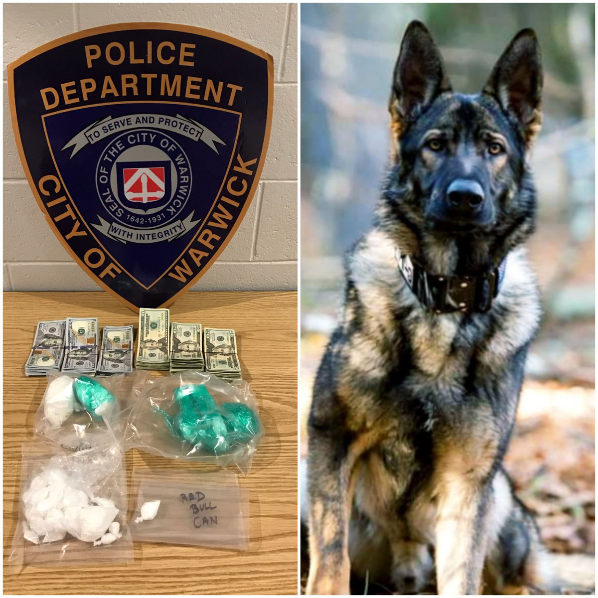 K9Viking1's tweet image. K9 Garry is now a nationally certified Narcotics/Patrol dog.  He has recently help located over $36,000 and  726 grams of Cocaine while assisting on two search warrants.  Be warned drug dealers, "The Garry Nose Knows". #Garrydog #warwickpdri