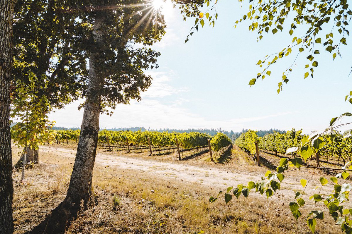It's Memorial Day Weekend! Which Willamette Valley wineries are you visiting?