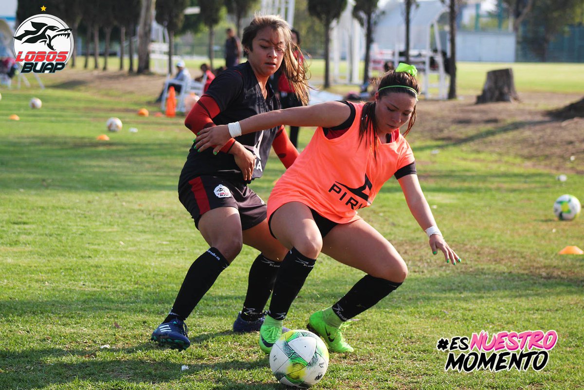 LobosBuapFem's tweet photo. Hoy fue un día de arduo entrenamiento. 👊🐺

 La competencia aumenta y nuestras ganas de ser mejores también. 😎🔝

#EsNuestroMomento #EllasEnLaCancha https://t.co/26ahvSe6pZ