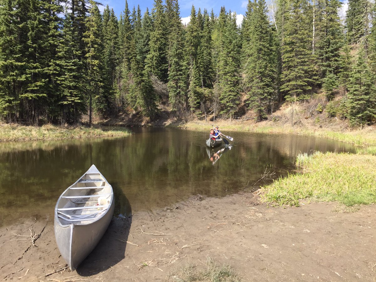 Melanie Haug tweet media