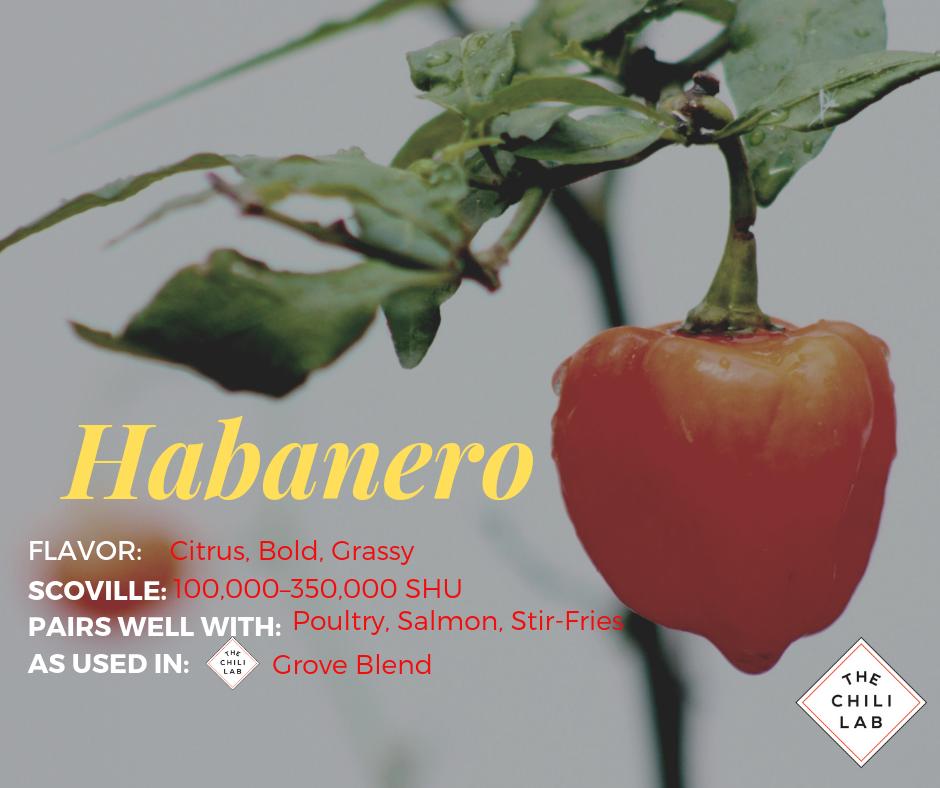 TheChiliLab's tweet image. #TGIF! We're spending this #MemorialDayWeekend whipping up some fresh Grove Blend Sauce. In honor of this moment, we're highlighting 1 of the #chilies in the Grove Blend--

🔥🔥🔥
#Habanero
🔥🔥🔥

Shop Grove Blend Flakes: thechililab.com/collections/ch…

#MemorialDay2019 #FridayFeeling