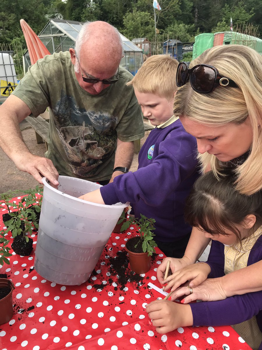 nantcelynschool's tweet photo. Another busy day at our community allotment site helping Gary the Gardner and Mike plant sweetcorn and tomato plants  🍅🌽 looking forward to sharing our delicious produce when it grows @Allotments2 @BronAfon https://t.co/YPYhZ0p1sC