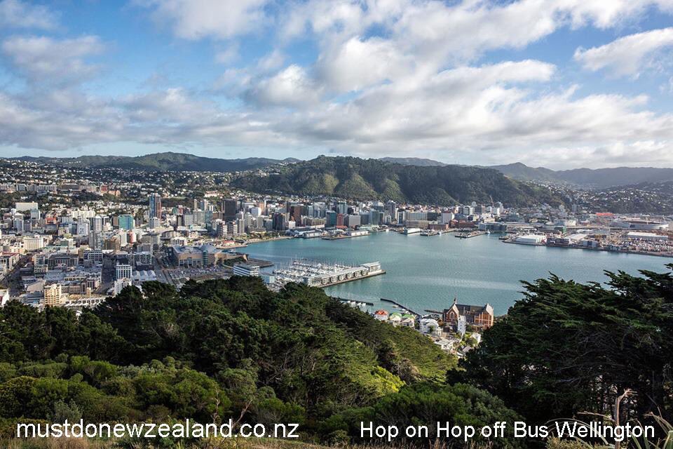 Explore Wellington’s 10 best sightseeing attractions with the Hop on Hop off bus at your own pace. It couldn’t be easier than this and all for $45 per person #nzmustdo #purenewzealand
mustdonewzealand.co.nz