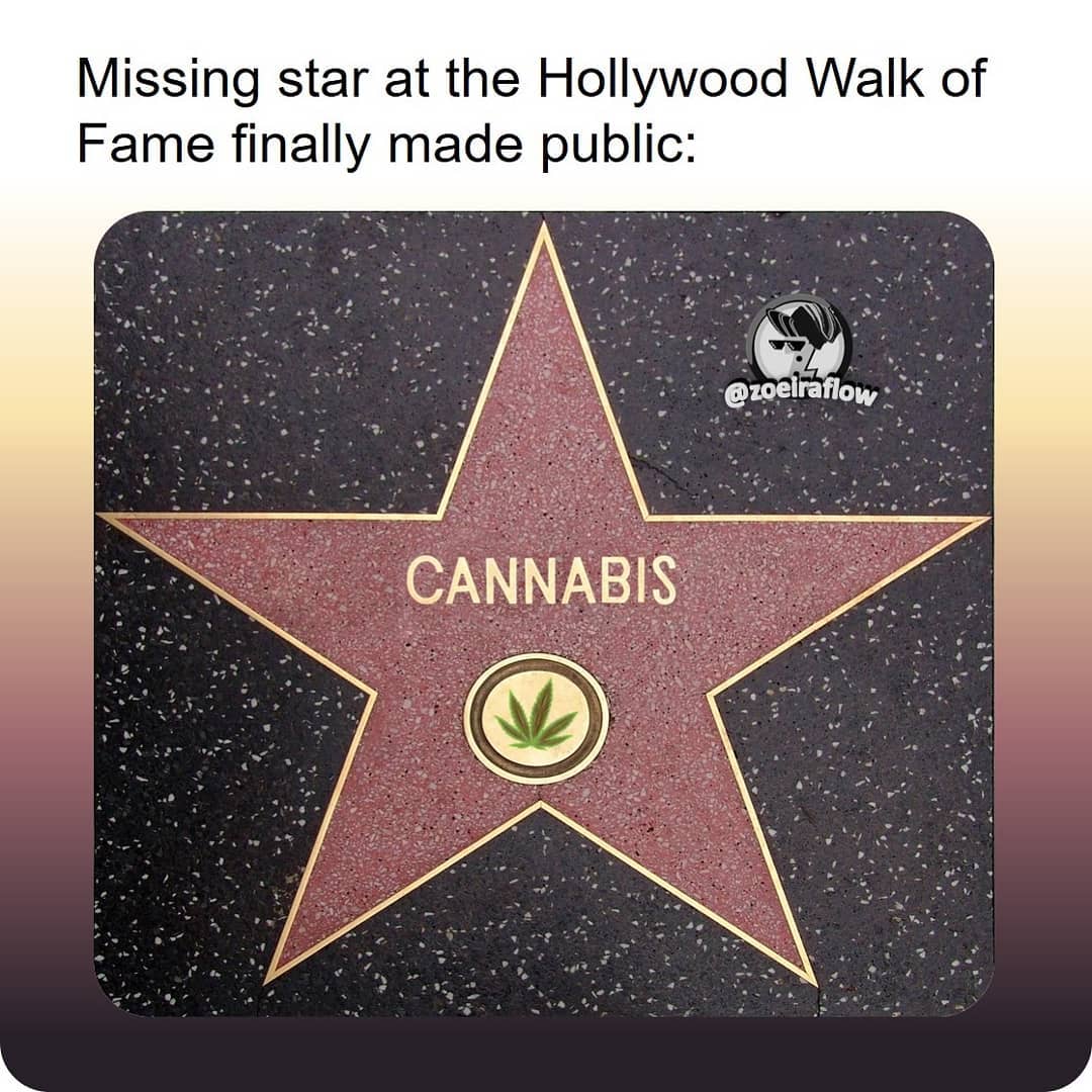 weedydotcom tweet media