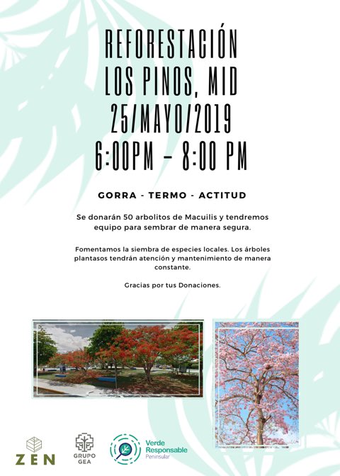verderespong's tweet photo. En coordinación con #GrupoGEA y #ZENProyectosNaturales, invitamos a todos los #AgentesDeCambio a sumarse a la #Reforestación de árboles #macuilis 🌳 en el Parque de Pinos 🌲en Mérida, Yucatán. ¡Nos vemos a las 6:00 p.m.⏰! Lleven gorra 🧢 o 👒 termo para el agua💧y mucha actitud. https://t.co/OIPav0sBlx