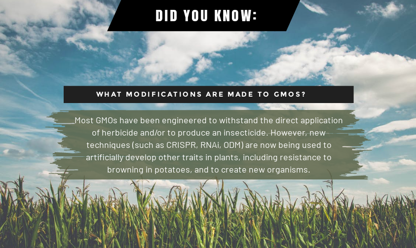 NonGMOProject's tweet photo. Did you know? https://t.co/9wepJ5JFe6