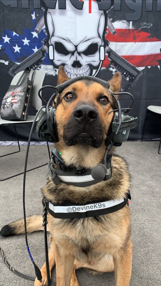 Requesting immediate support for bones and Belly rubs.  Happy Friday!