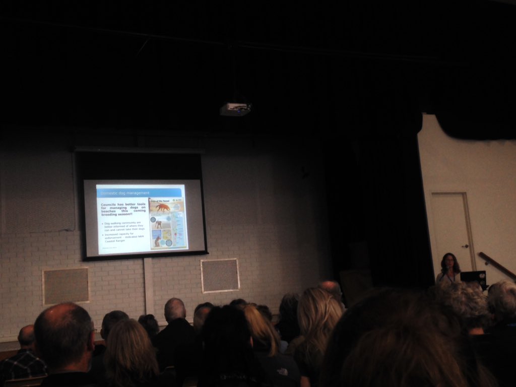 Hooded Plover (@birdlife_hoodie) on Twitter photo Amazing work is being done <a href="/TweedCouncil/">Tweed Shire Council</a> to manage #BeachNestingBird threats. Education and compliance are key! Thanks Linda Brannian and Pam Gray for an inspiring talk at the #BNBconference!
#SciComm #SciCit #OnLeash Amazing work is being done <a href="/TweedCouncil/">Tweed Shire Council</a> to manage #BeachNestingBird threats. Education and compliance are key! Thanks Linda Brannian and Pam Gray for an inspiring talk at the #BNBconference!
#SciComm #SciCit #OnLeash
