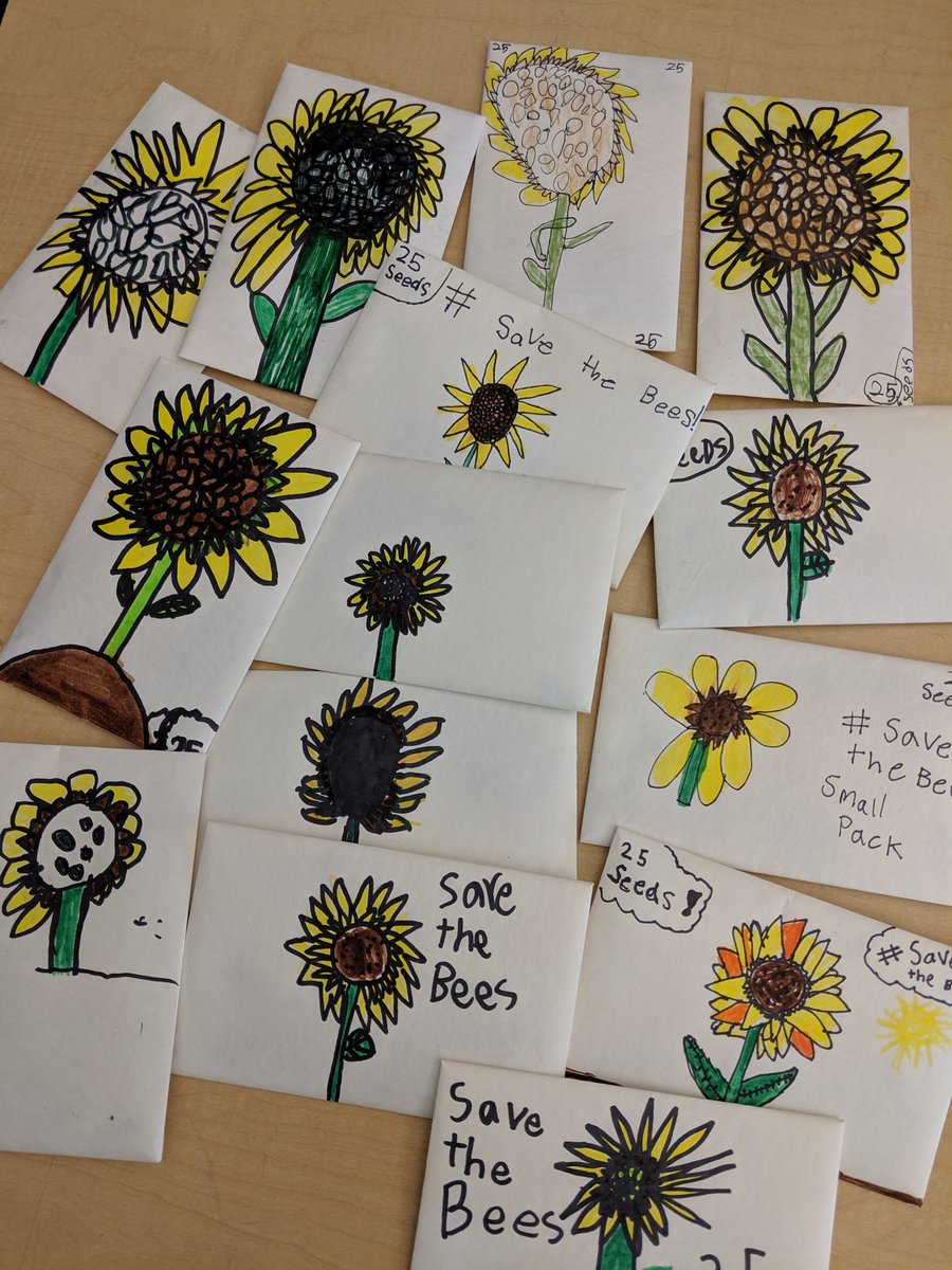 MichelleORegan9's tweet photo. We're sorting "good" and "bad" seeds, counting groups, and designing sunflower seed packs to sell. The seeds were collected from our very own garden last fall. Thoughtful ideas and planning by grade 2s. #beeambassadors
@sd62
@Sd62HappyValley https://t.co/hLKWvt6FB9