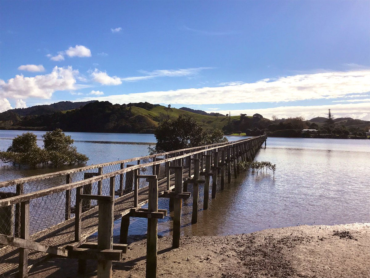 vansodyssey's tweet photo. Little #walk over the longest #bridge in #southhemisphere ! @whananaki_com #whananaki @Northland_NZ @visitnorthland https://t.co/JKpwveObnF