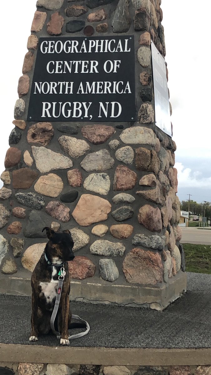CelebrityEric's tweet photo. Pippin is now both the center of attention and at the center of North America.  @dog_rates https://t.co/naJd45ZKZH