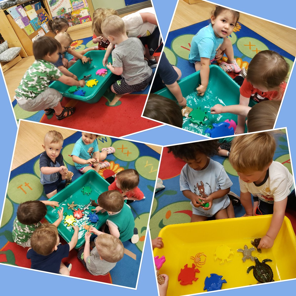 ECDC Bumble Bee tweet media