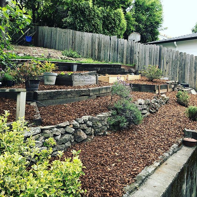 Thanks to my very pro-active wife we got some help to get our back yard ready for summer! bit.ly/2QoFDfD