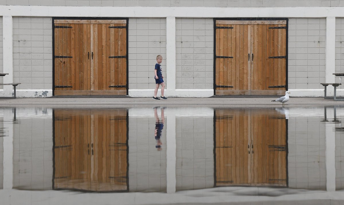 Scott Gardner tweet media