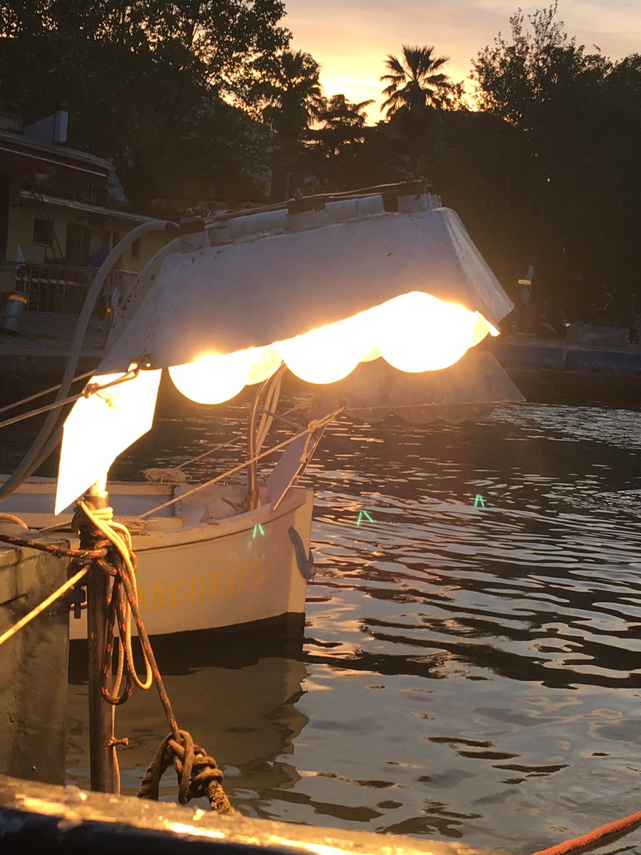 Consorzio_Olpa's tweet photo. In azione con la #lampara #portovenere #levignedelmare #lamialiguria https://t.co/y4tgw6JkAr