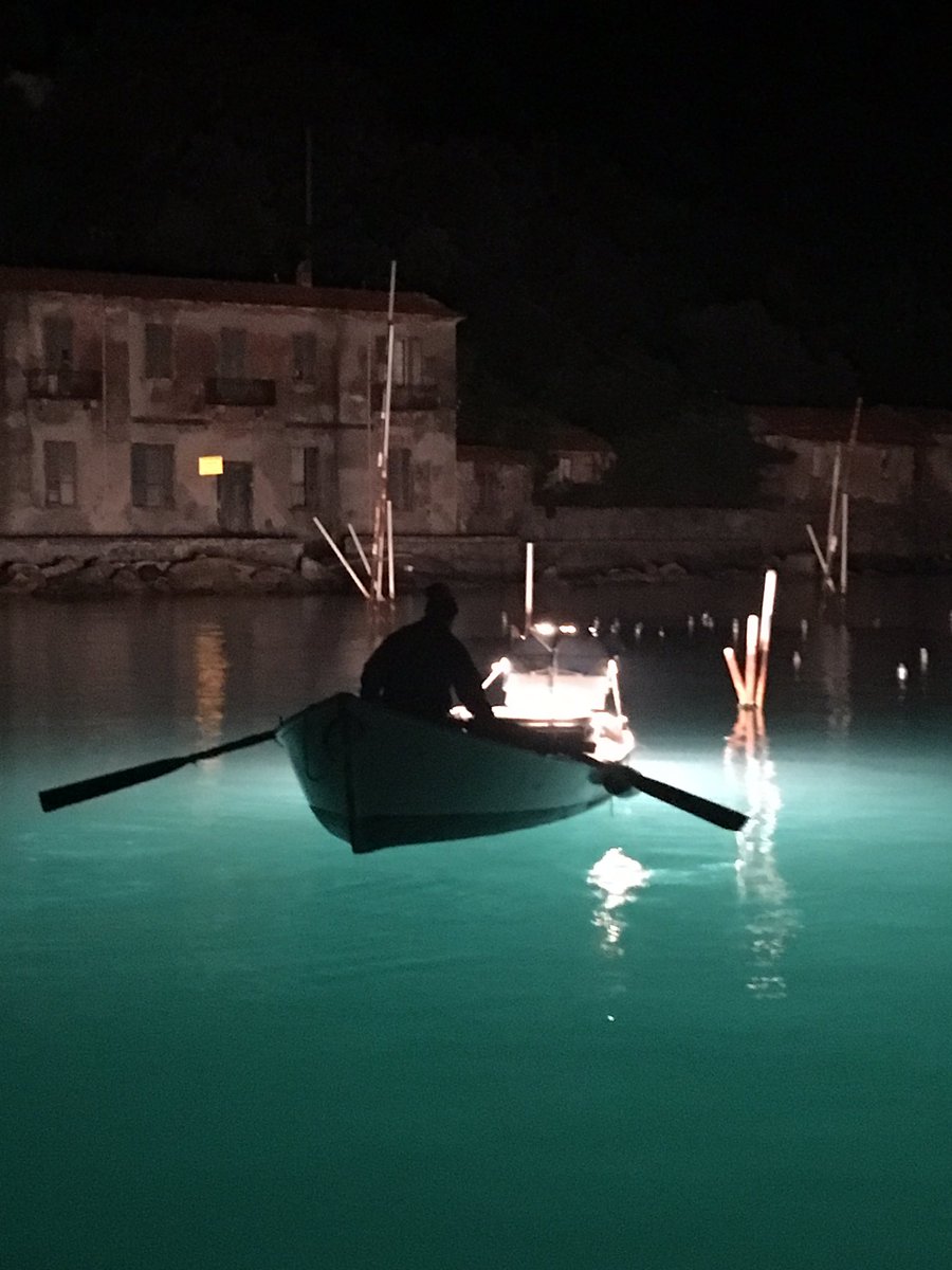 Consorzio_Olpa's tweet photo. In azione con la #lampara #portovenere #levignedelmare #lamialiguria https://t.co/y4tgw6JkAr
