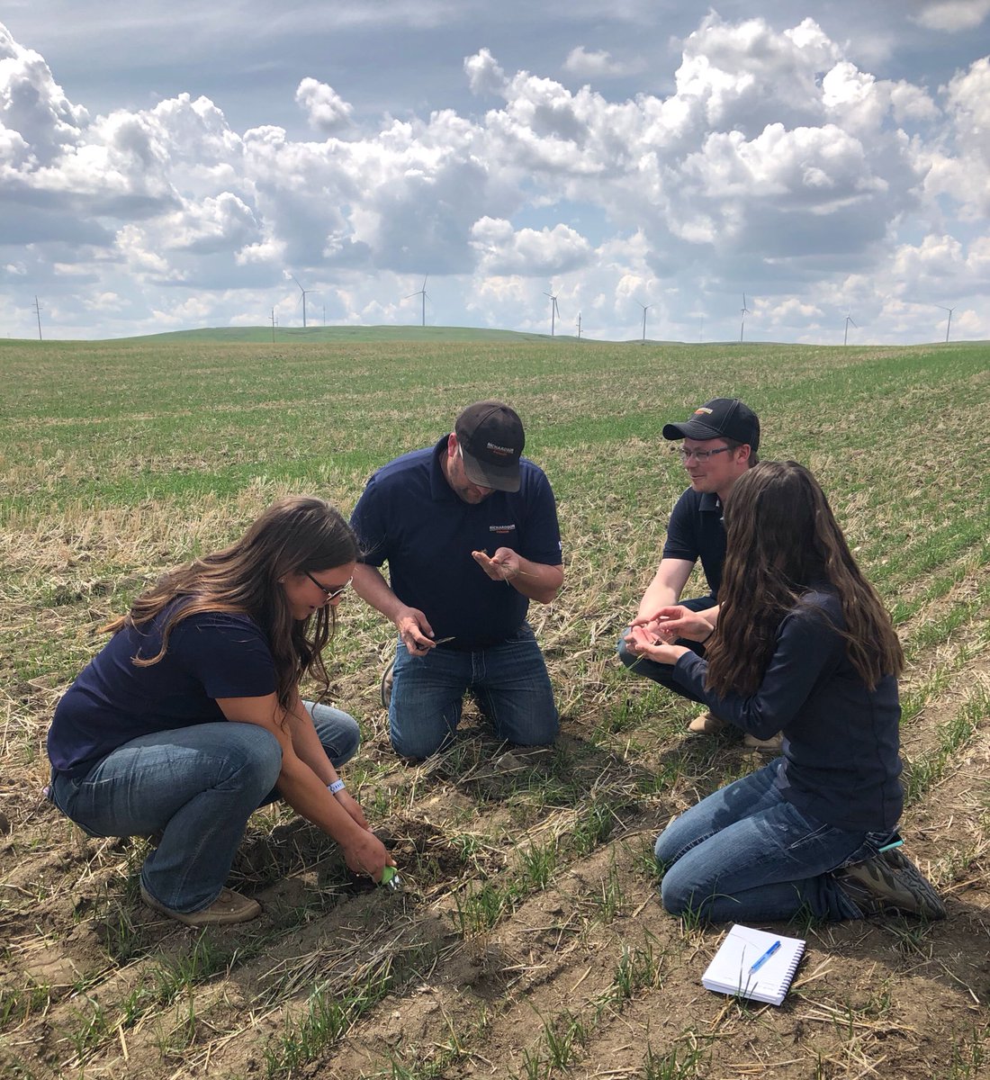 Scouting, sunshine and smiles. Does it get any better than this? 

#CropWatchAgronomy #wcdnag