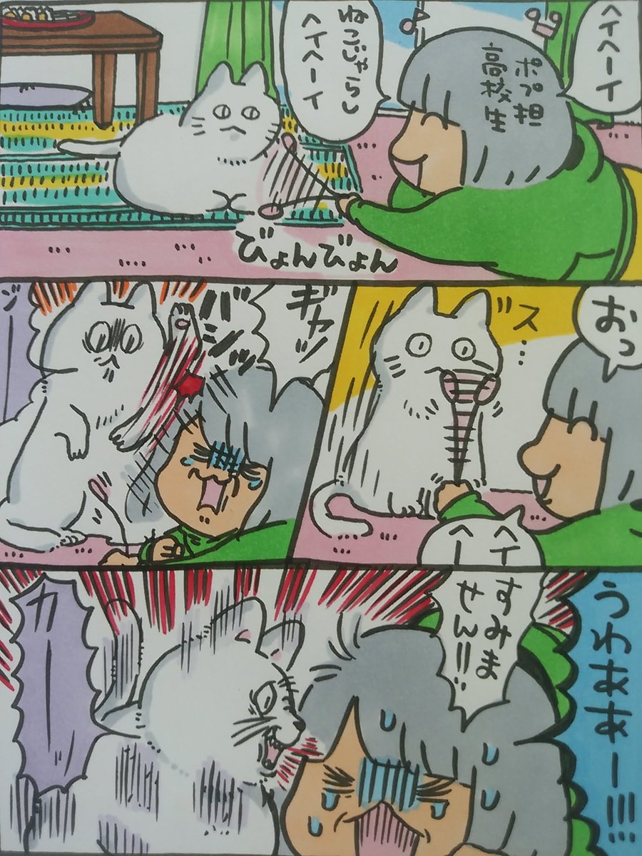 【ポップ担当日記】
ポプ担が高校生の頃に祖父の家にいた強ネコ「チビ」。そっと寄り添ってきたかと思うとめちゃくちゃパンチしたり威嚇してくる謎行動が可愛かったです。
#ポップ担当日記 #猫