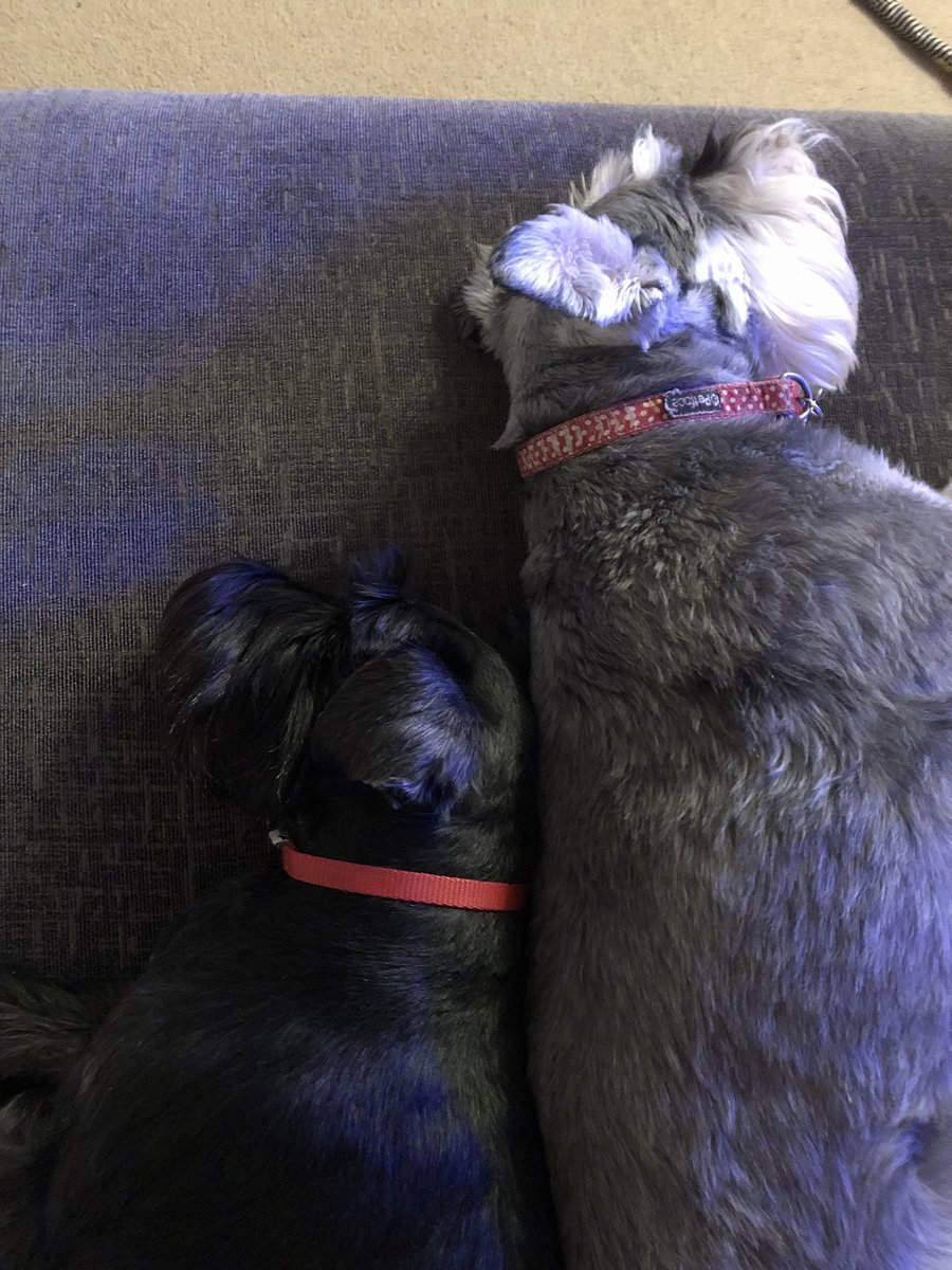 saaff1990's tweet photo. Decided I need to take a leaf out of my babies’ books &amp; take a chill pill &amp; sign-off for a digital detox. Will be back when I’m ready ♡ https://t.co/1kqWmgKist