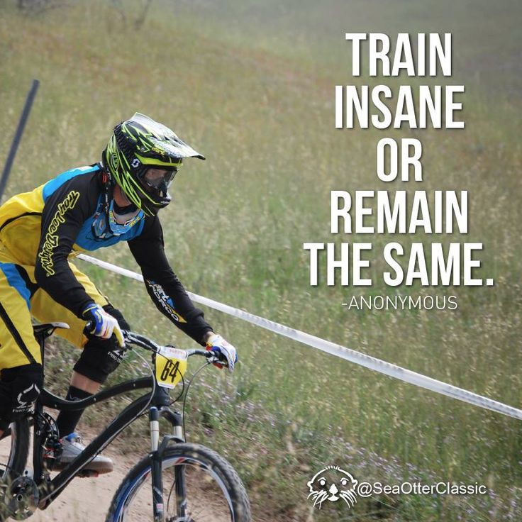 UltimateCyclin1's tweet photo. #cyclist #bicycle #bike #cycling #mtb #bikelife #mountainbike #cyclinglife #cycle #roadbike #ciclismo #mtblife #cyclist #bicicleta #bikes https://t.co/6Ifaj7Up3e