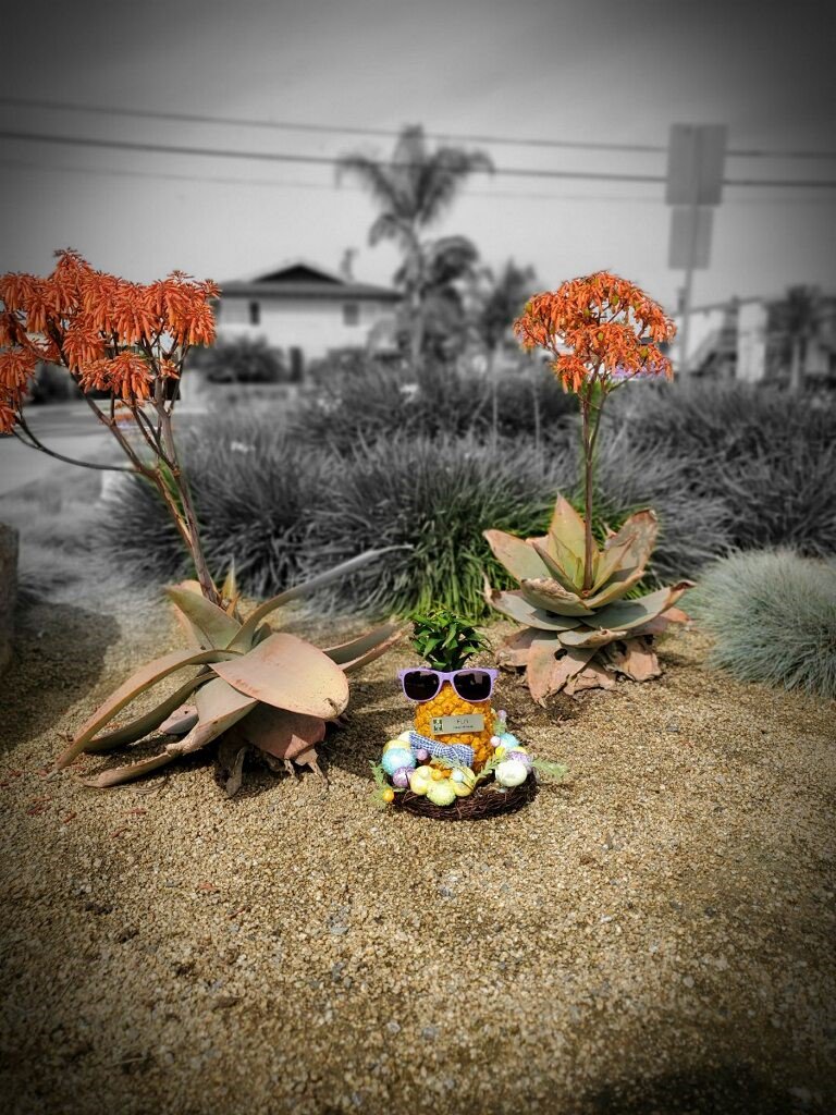 StudioInnSuites's tweet photo. FLIN is ready for #MemorialDayWeekend here at the hotel in #Downey #California. 
Let us know if you're in the area and we will save you a room!
#boutiquehotel #luxurytravel #LAhotel #solitude #pamper https://t.co/33WI5J0y72