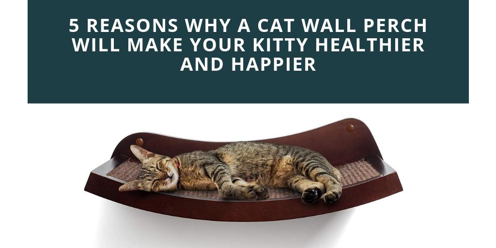 HumaneGoods's tweet image. New Article: "5 Reasons Why a Cat Wall Perch Will Make Your Cat Healthier and Happier" A cat perch or shelf can make a BIG difference in your cats life. Find out why: medium.com/@humanegoods/5… #cats #Cat #Kitty #CatsOfTwitter