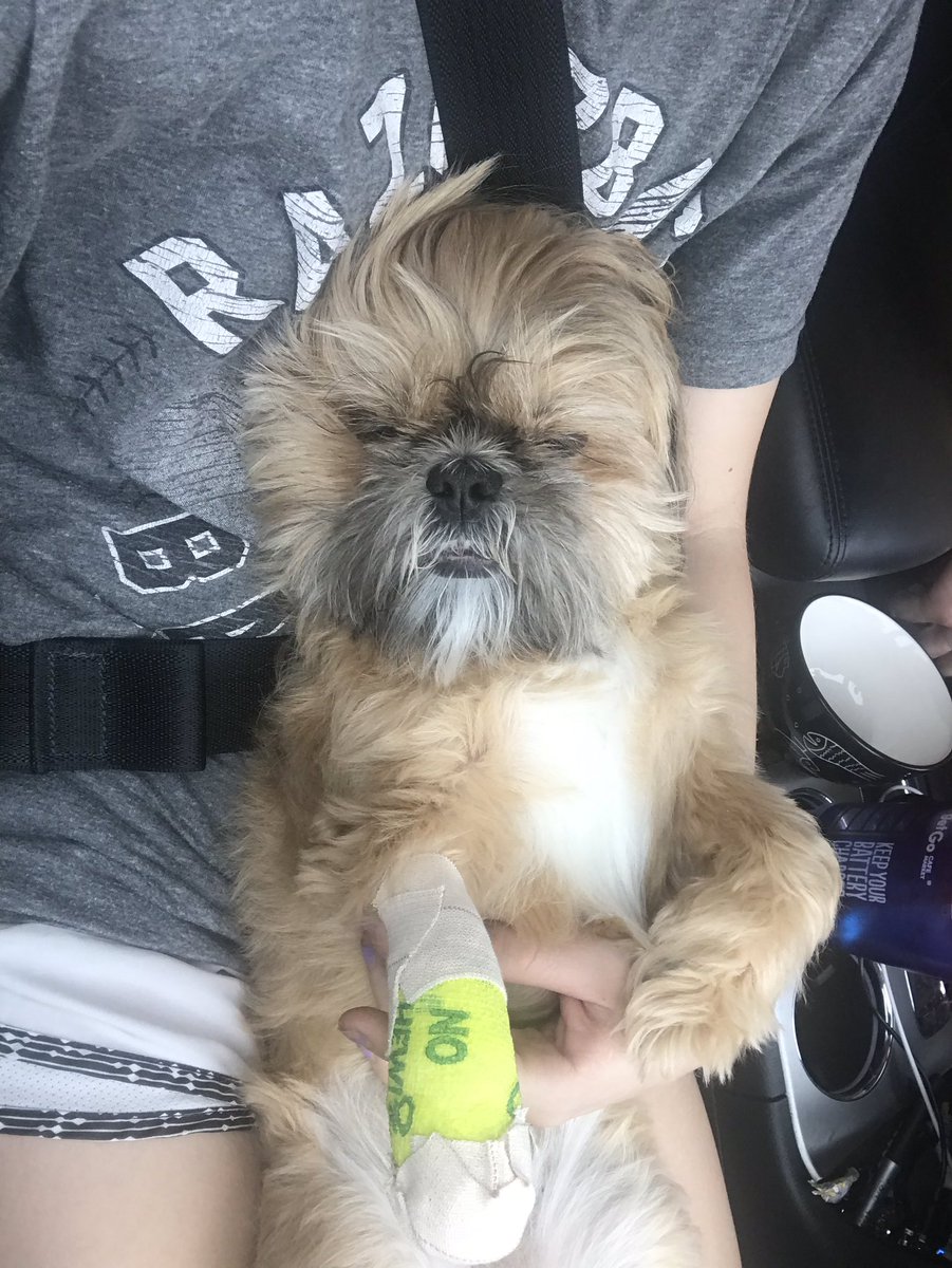 I cried bc little nug had to get a sedative today and his nail fixed.. let’s just say he was very relaxed after his shot with pain meds 🥺😅