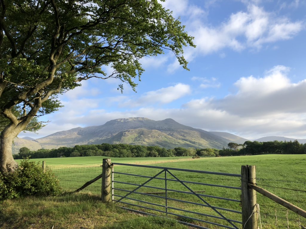 B0BBroadband's tweet photo. 8 holiday cottages, 7 APs, #Cat6, 3 days, #2Mbps and 1 man. The plan is to improve speeds, a small mast on the hill with a high gain #4g antenna or a PtP link from a better source. The other fun option is we unite the Clans and go for a new #BackofBeyondBroadband #network #BoBB3 https://t.co/76xH8TDI4c