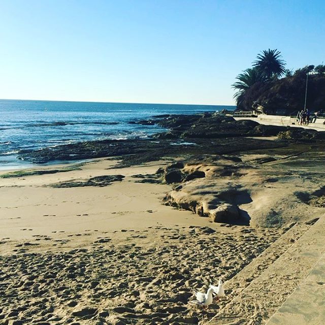 ploomskincare's tweet photo. Good morning, please enjoy the view. Sun is shining and the weather is sweet! #flatasatack #beachside #ourworld #beach #almostwinter #enjoytheview #beachlife #sunshine #beachlife🌴 #sunandsand https://t.co/dF54bg9RCB