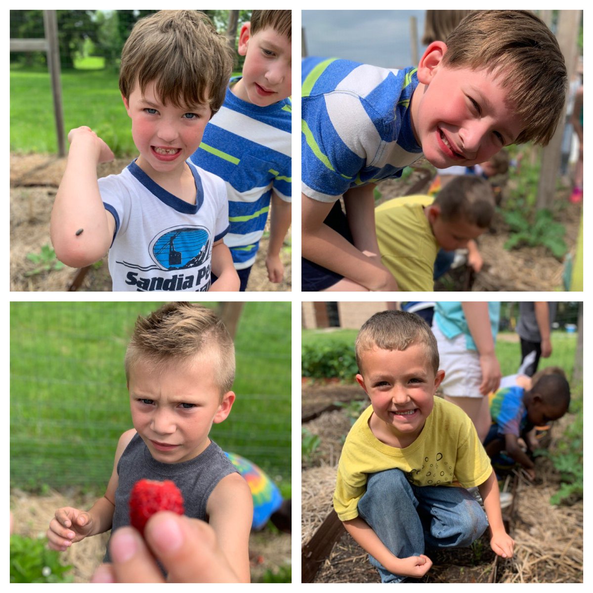 MrsKobermannRBE's tweet photo. Today we got to plant sunflowers in the RBE garden! We loved learning about all the other things that are planted there too! @RBEoutdoorclass https://t.co/qIbgEWLTnw