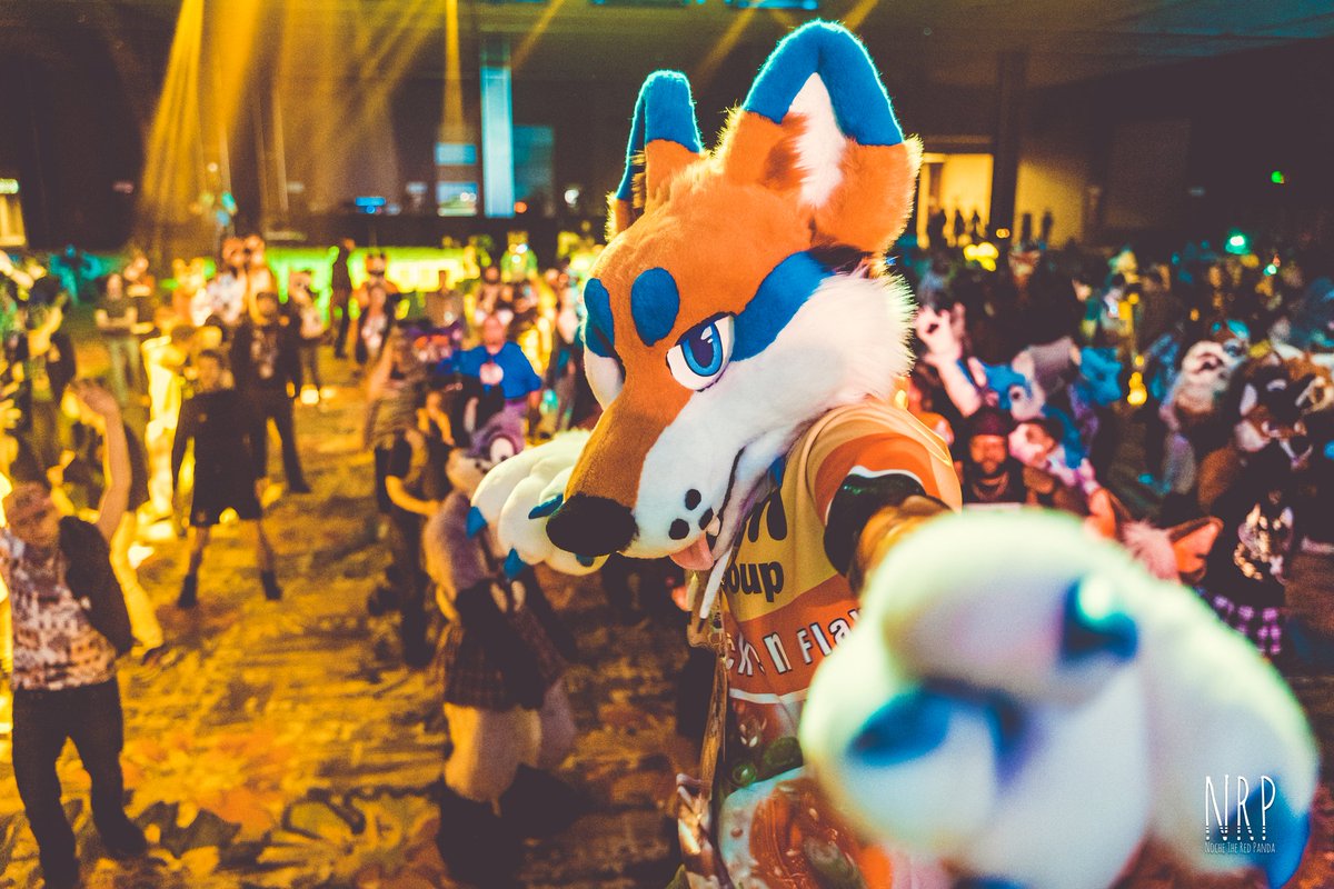 KooperShiba's tweet photo. #FursuitFriday BABY! Catch me with the @OCFurs and at @tail_party this weekend! 🍻🥳🎉🎉

📸:@NocheRedPanda &amp; @OttyDu
👔:@RUFFStuffSuits
#BLFC2019 #BLFC #BLFC19 #Fursuit #Fursuiter #Furry #FurryFandom https://t.co/6n1YsnVQNX