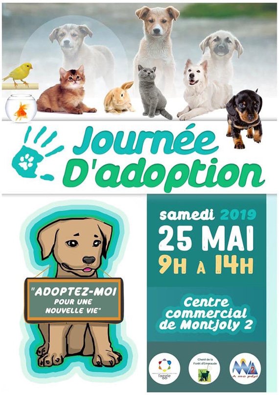 bladacom's tweet photo. Journée d'adoption dans le cadre de la journée mondiale des animaux
#chienchat #sortieguyane #blada
https://t.co/YwODucgBsw https://t.co/YDGJLvIl7k