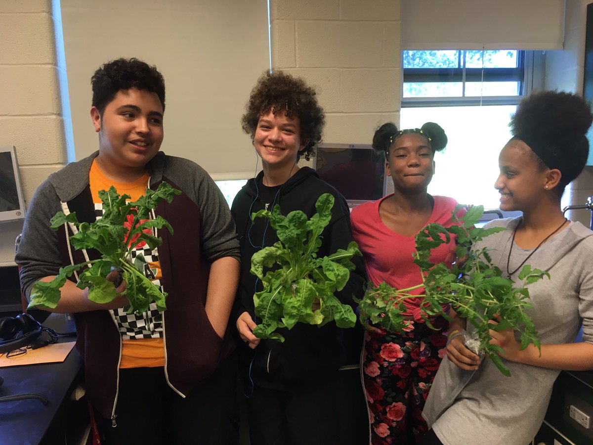 Today was the last day for our Hydroponics Challenge! Congrats to the Demeter 1 Mission for growing the tallest plant! One member of each mission took home their plant to start their own garden! <a href="/GHMSBuckskins/">HueskenMS</a> <a href="/CVSciTech/">CVSciTech</a> #schoolgarden #TheMartian #PBL