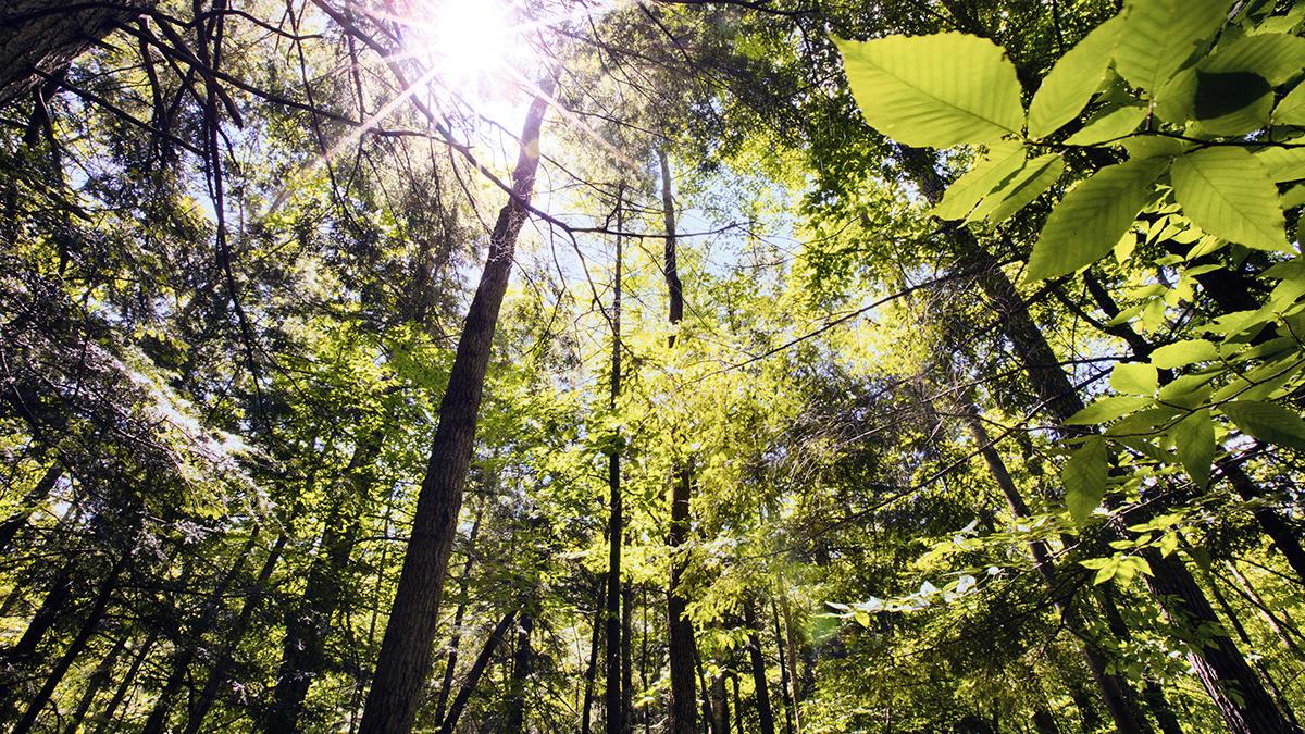 Êtes-vous sur Facebook et LinkedIn? Nous, oui. Suivez TC Énergie en anglais sur Facebook et LinkedIn au Facebook.com/TCEnergyCorpor… et au LinkedIn.com/company/TCEner….