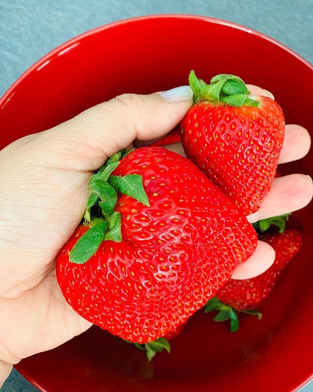 Biggest strawberry ever. 🍓 #lisa #lisaonsocial #bloggers #yyc #yycblog #yycblogger #canadablogger #strawberry #bigstrawberry #bigstrawberries