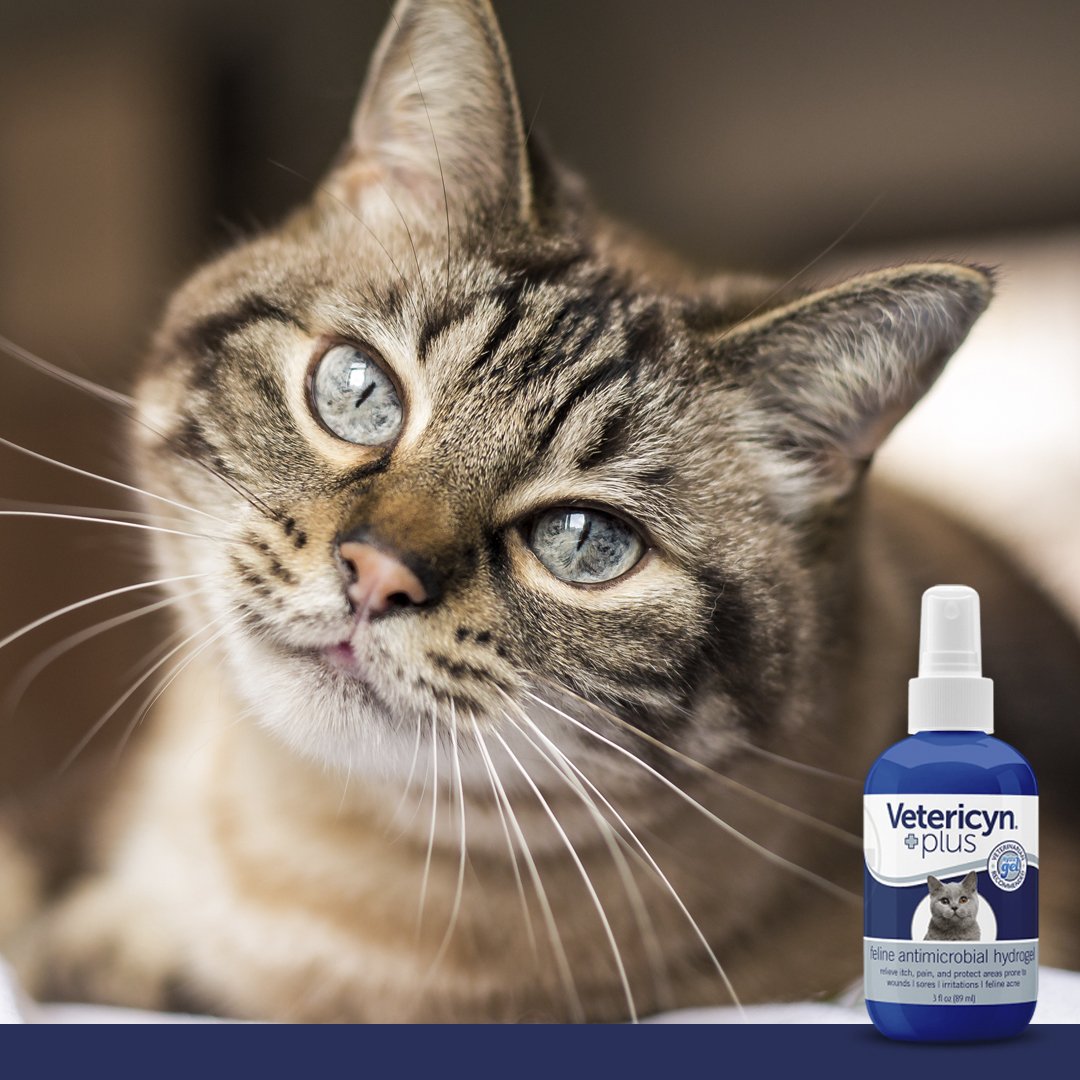🐾Vetericyn🐾 tweet media