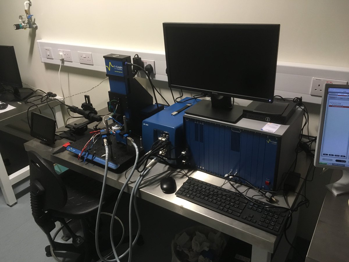 Biggs_Lab's tweet photo. Great addition to the lab this week - a scanning electrochemical microscope. On my wish list for years and so many possibilities for materials and biological analysis. Hurrah! 
@CURAMdevices @Bio_Eng_NUIG https://t.co/oXACZuM9Va