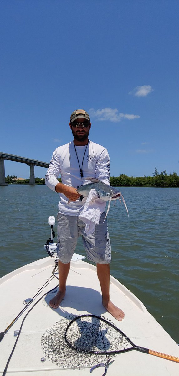 ndolimpio's tweet photo. Normally catfish are a nuisance in Florida this one I didn't mind #SailCat https://t.co/FPtM6hh5aU
