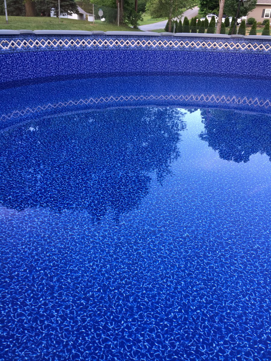 james11938's tweet photo. So this happened today in my back yard #swimtime https://t.co/2a9g8DHgnL