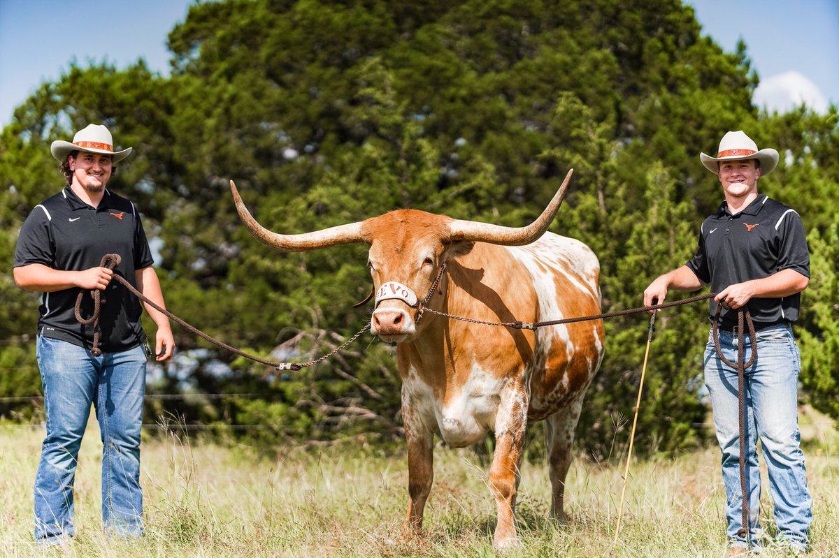 Sam Ehlinger tweet media