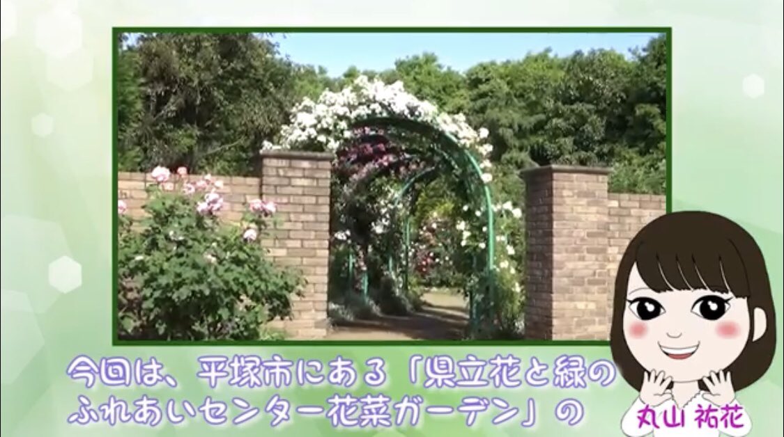 丸山 祐花 ゆかちん Yukamaru 811 Twitter 丸山 祐花 ゆかちん Yukamaru 811 Twitter