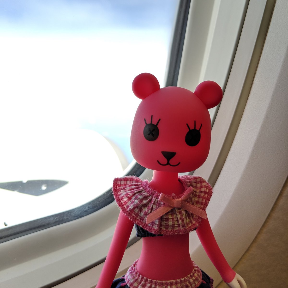 awa_mallon's tweet photo. モモちゃんとお出かけ！
#ペットワークス #petworks https://t.co/QYNlJ9GbB9