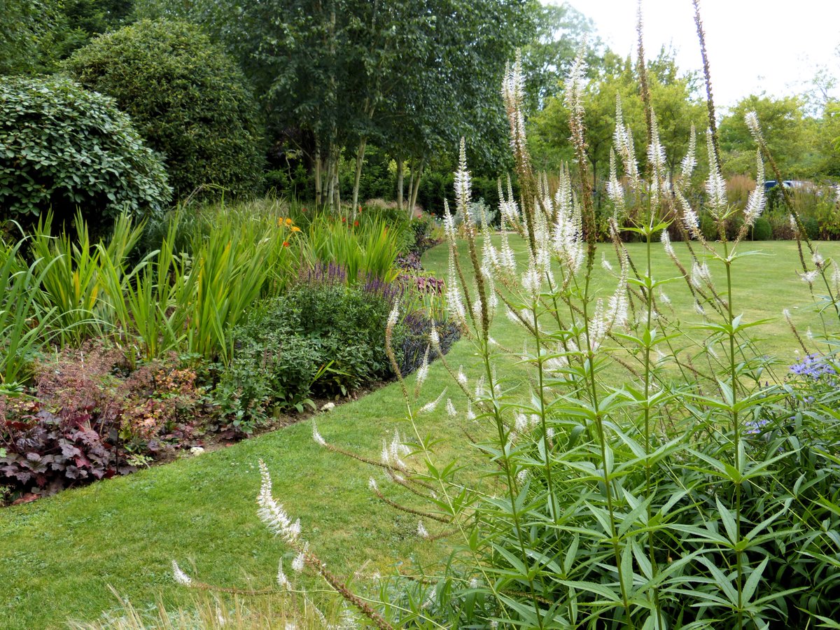 Sunday 26 May (11am to 5pm) Holm House Drinkstone IP30 9JF is open. In this 10-acre garden you will find lawns, orchard, mature trees and clipped holm oaks, as well as woodland walk a new lake and a wildflower meadow. ngs.org.uk bit.ly/2puG6xT