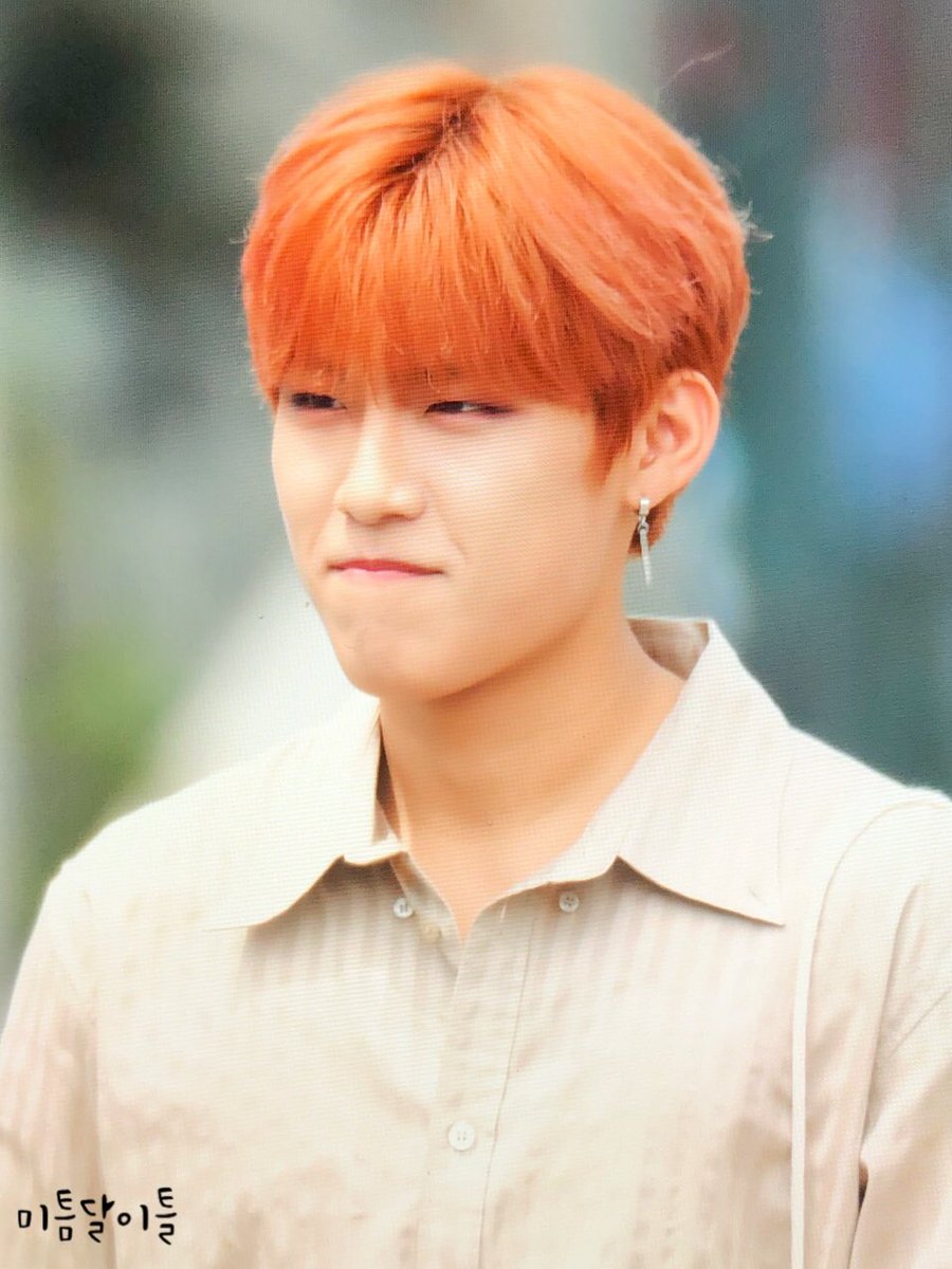 미틈달 이틀☪︎ tweet media