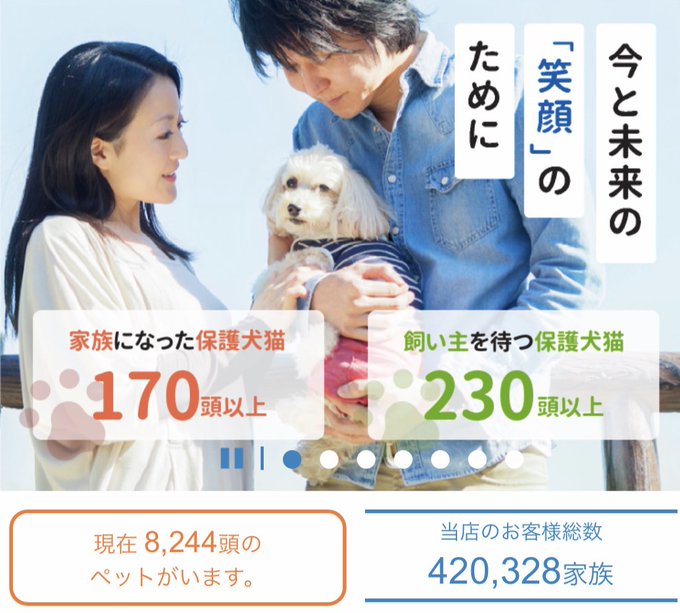 ペットショップのHP。 保護犬猫の数字と累計販売数と在庫数が並んでる違和感。 保護犬猫をペットフード2年分購入で売っている。 方や生体販売半額キャンペーン！ こちらはフード購入5年しばり。 保護犬猫がいるのに多い時には250頭も仕入れるのはおかしくないですか💢 #ペットショップ<a href="/tag/%E3%83%9A%E3%83%83%E3%83%88%E3%82%B7%E3%83%A7%E3%83%83%E3%83%97"class="tags">#ペットショップ</a>