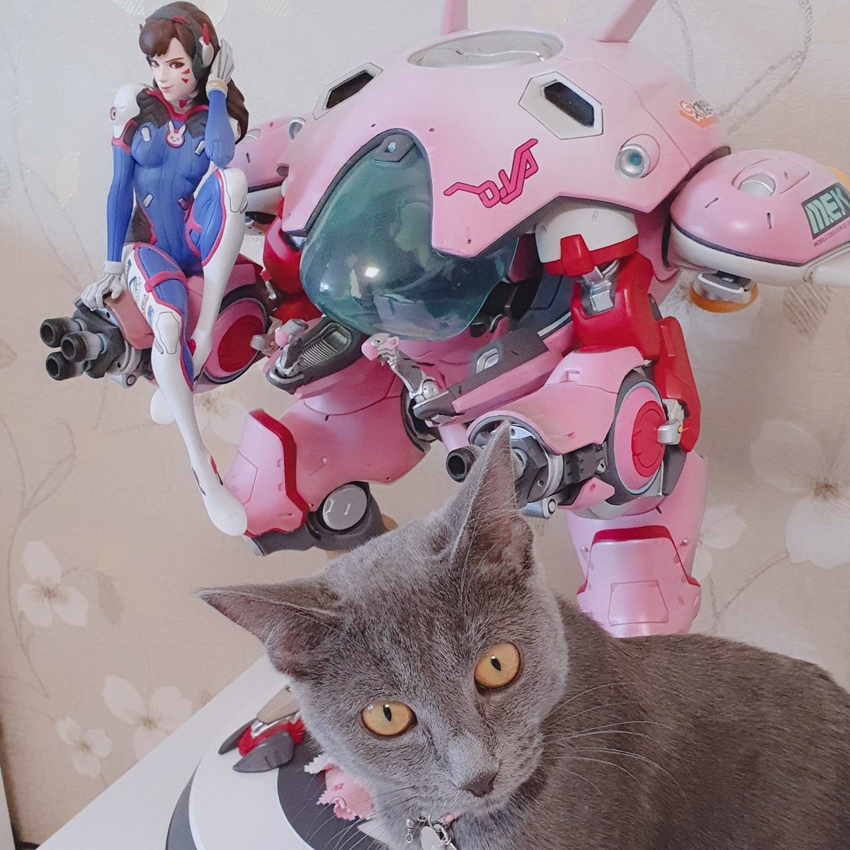 베리떼(Verite) tweet media